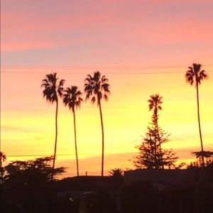 Meet your Posher, Abigail